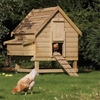 Deluxe Pressure Treated Chicken Coop - Houses 6