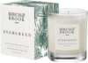 Birch & Brook Evergreen Candle 30cl