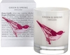 Green & Spring Indulging Home Candle 235g