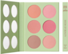 Pixi Book of Beauty - Touch Blush