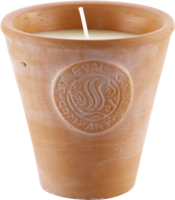 St Eval Candle Hellebore Large Classic Collection Pot 0.55kg
