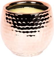 St Eval Candle Winter Berries Cauldron Pot Large 2.5