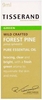 Tisserand Aromatherapy Forest Pine Wild Crafted Essential Oil 9ml