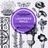 Tisserand Aromatherapy National Trust Lavender Walk Scented Sachets 3 x 8g
