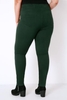 Pine Green Jeggings With Elasticated Waist