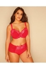 Red Mesh Brief With Ruching & Lace Panels