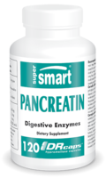 Pancreatin