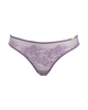 Glossies Lace Brief - Heron