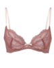 Superboost Lace N/P Plunge - Cinder Rose