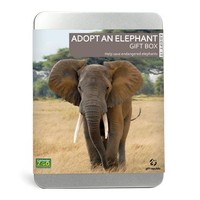 Adopt an Elephant Gift Box