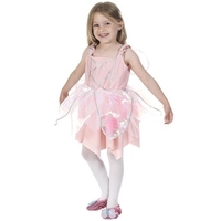 Ballerina Fairy Costume