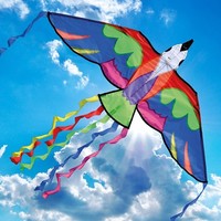 Bermuda Bird Kite.