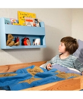 Blue Bed & Bunk Shelf