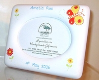 Butterfly Frame