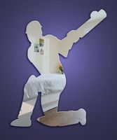 Cricketer acrylic mirror 45 x 36cm