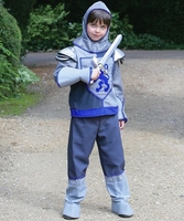 Crusader Knight