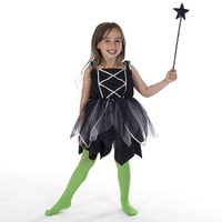 Fairy Witch Costume