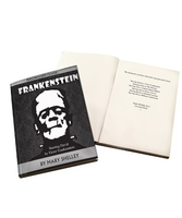 Frankenstein Novel - 6 Characters