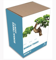Grow you own Bonsai Trees