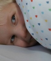 Junior and Cot Bed Duvet Protector