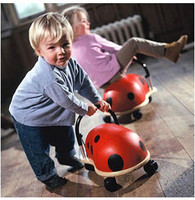 Ladybird Wheely Bug