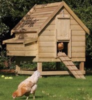 Large Chicken Coop