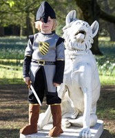 Medieval Soldier