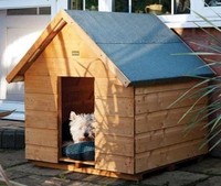 Medium Dog Kennel