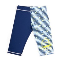 Navy Dolphin Stripe Shorts
