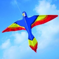 Parrot Kite