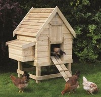 Small Chicken Coop