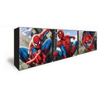 Spider Sense Box Art