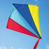 Stuntmaster Kite