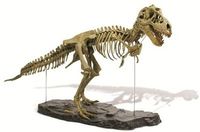 T-Rex Skeleton – Deluxe