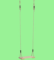 Tree Swing