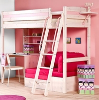 Trendy 29 Whitewash Loft Bed with Slanted Ladder
