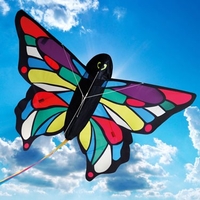 Tropical Butterfly