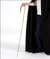 Walking Cane