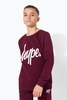 Hype Burgundy Script Kids Crew Neck Size 3-4