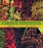 Coleus