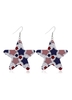 American Flag Design Star Shape Earring Set