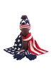 American Flag Print Knitted Scarf Set