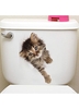 ROTITA 1pc 20 X 30cm Cat Pattern PVC Sticker
