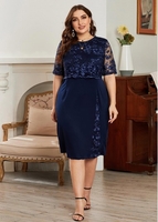 ROTITA Plus Size Half Sleeve Lace Panel Dress