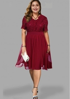 ROTITA Plus Size Short Sleeve Lace Panel Dress