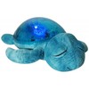 Cloud B Tranquil Turtle Night Light Projector with sounds - Aqua