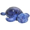 Cloud B Tranquil Turtle Night Light Projector with sounds - Purple