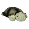 Cloud B Twilight Turtle Night Light Projector - Classic
