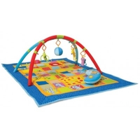 Taf Toys 3 In 1 Curiosity Gym