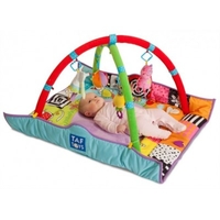 Taf Toys Newborn Gym